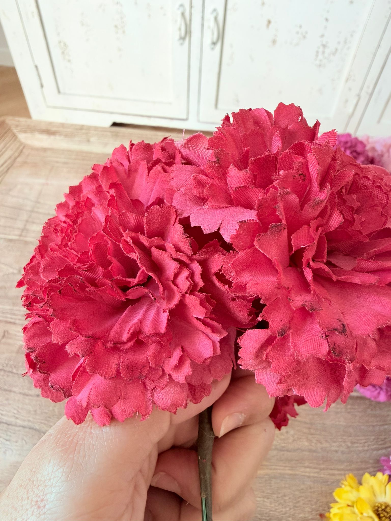 Flor flamenca clavelón frambuesa