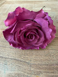 Flor flamenca rosa buganvilla
