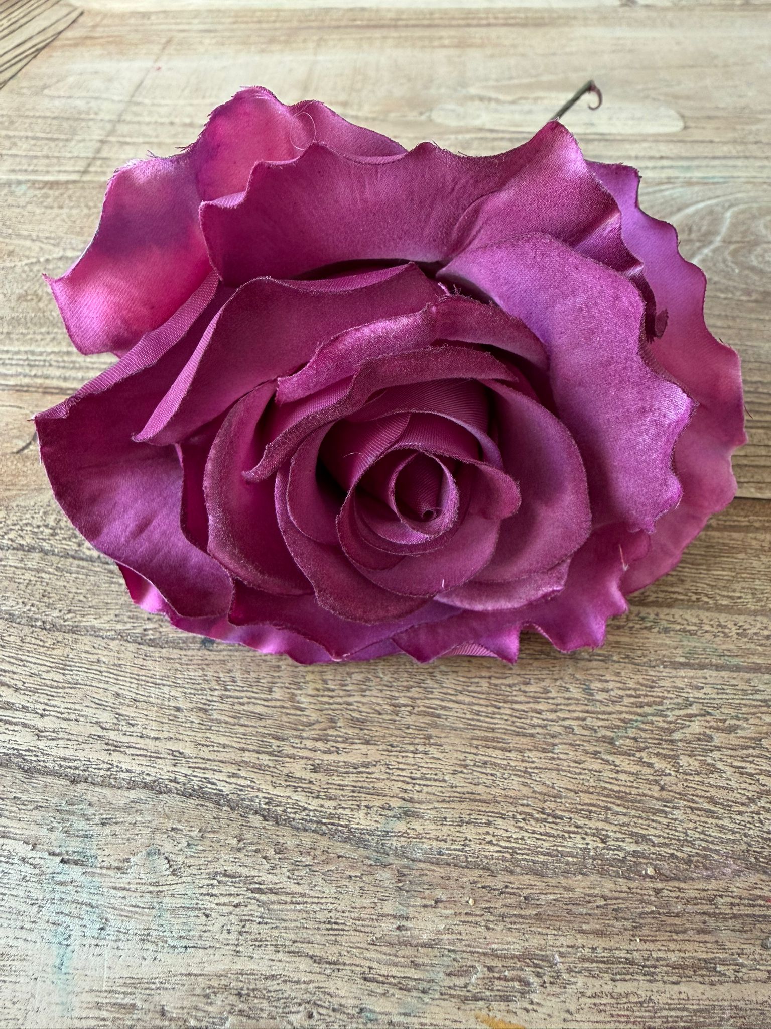 Flor flamenca rosa buganvilla