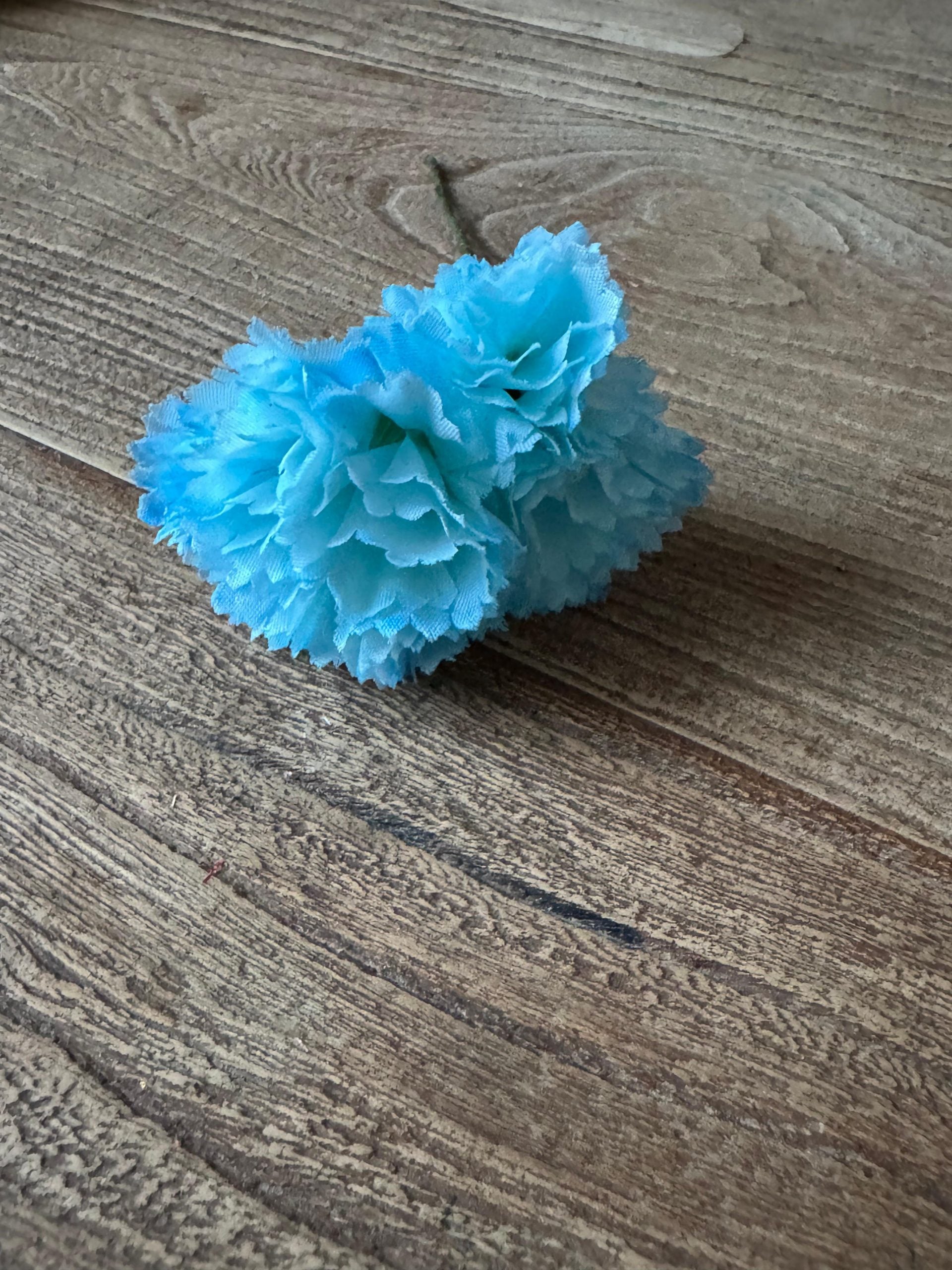 Flor flamenca clavellina turquesa