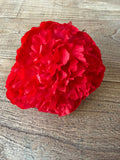 Flor flamenca clavelón mini rojo