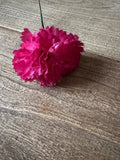 Flor flamenca clavellina buganvilla