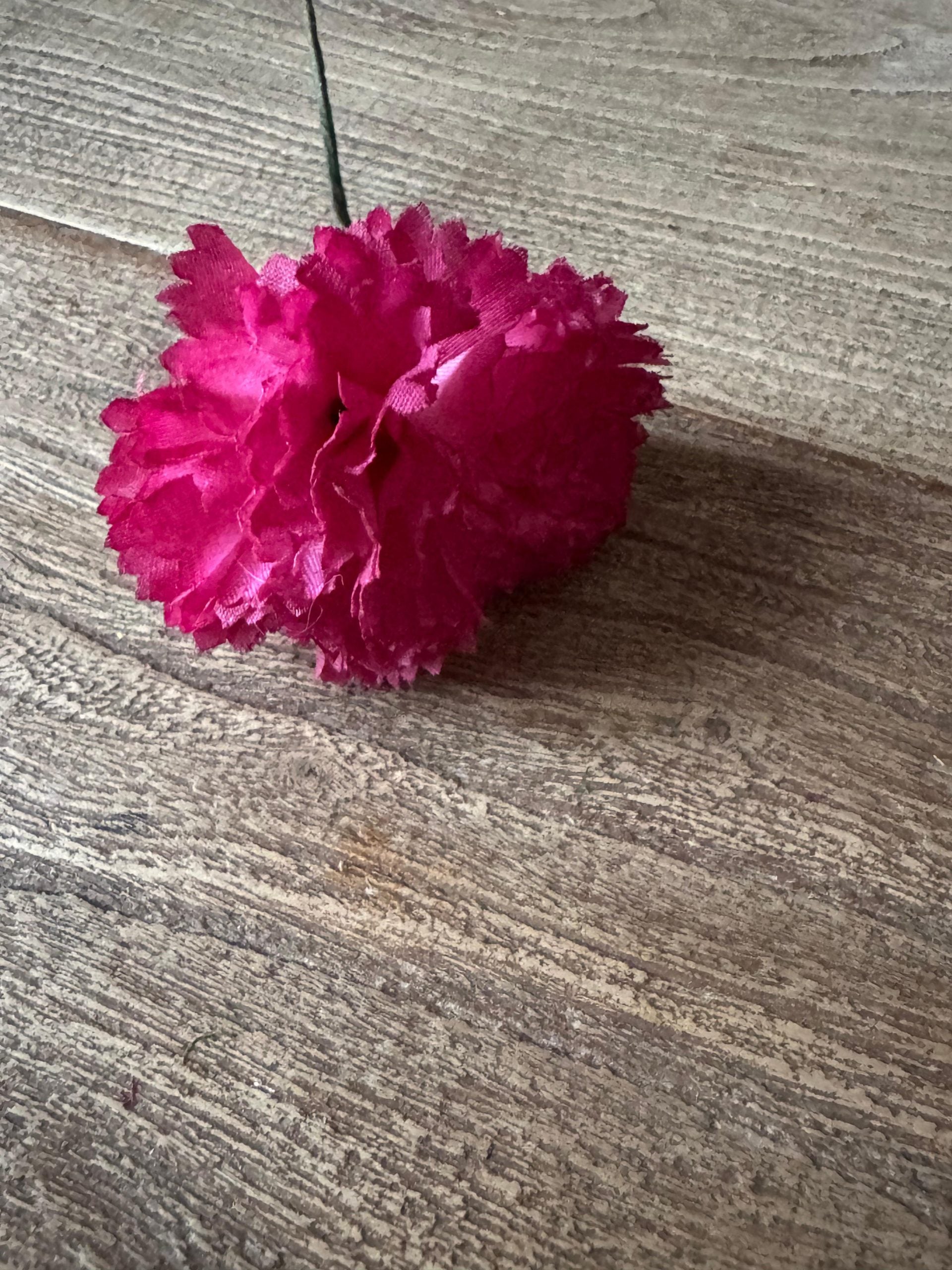 Flor flamenca clavellina buganvilla