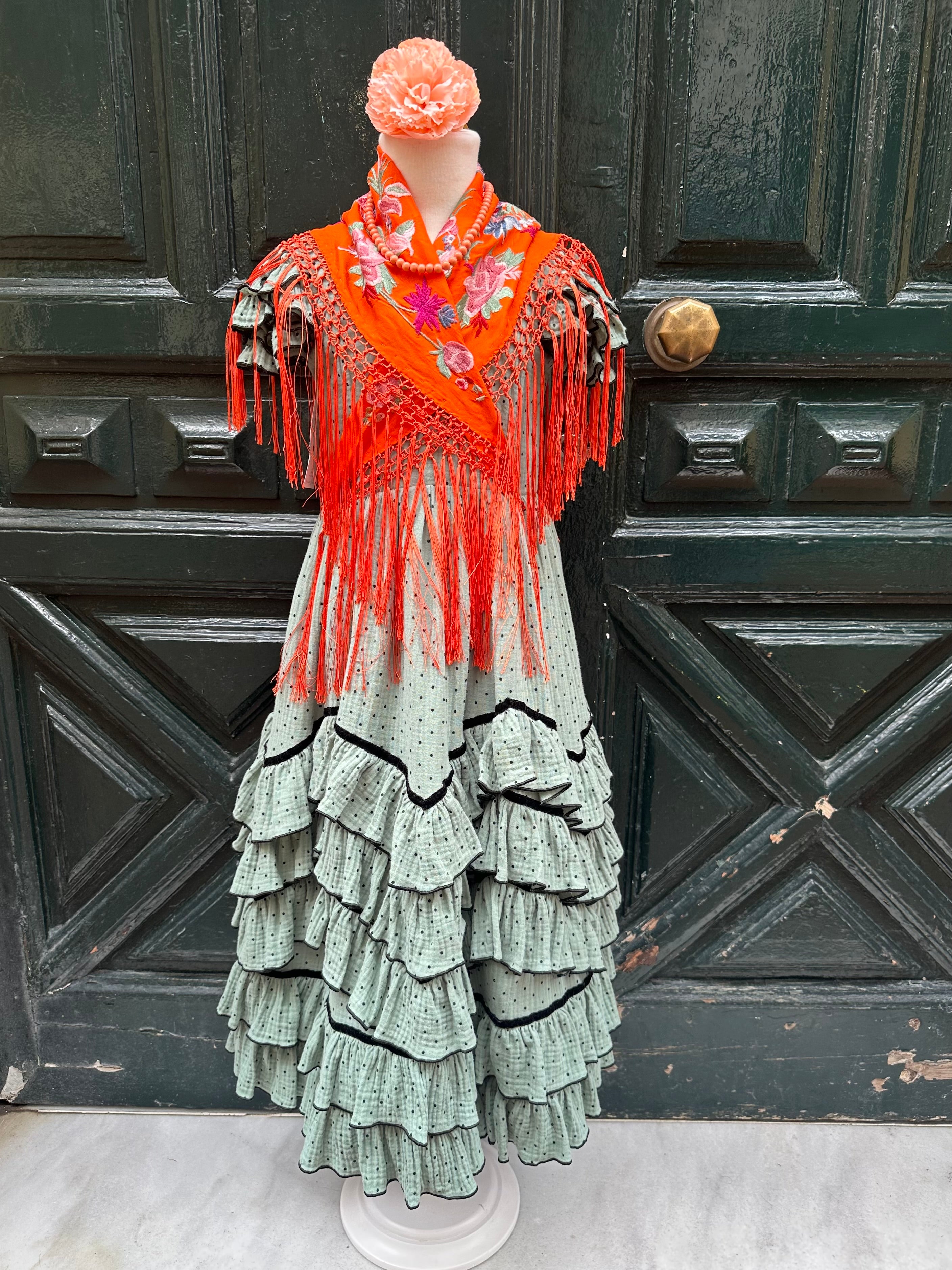 Charito bambula verde