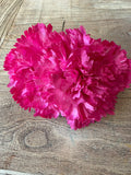 Flor flamenca clavelón buganvilla
