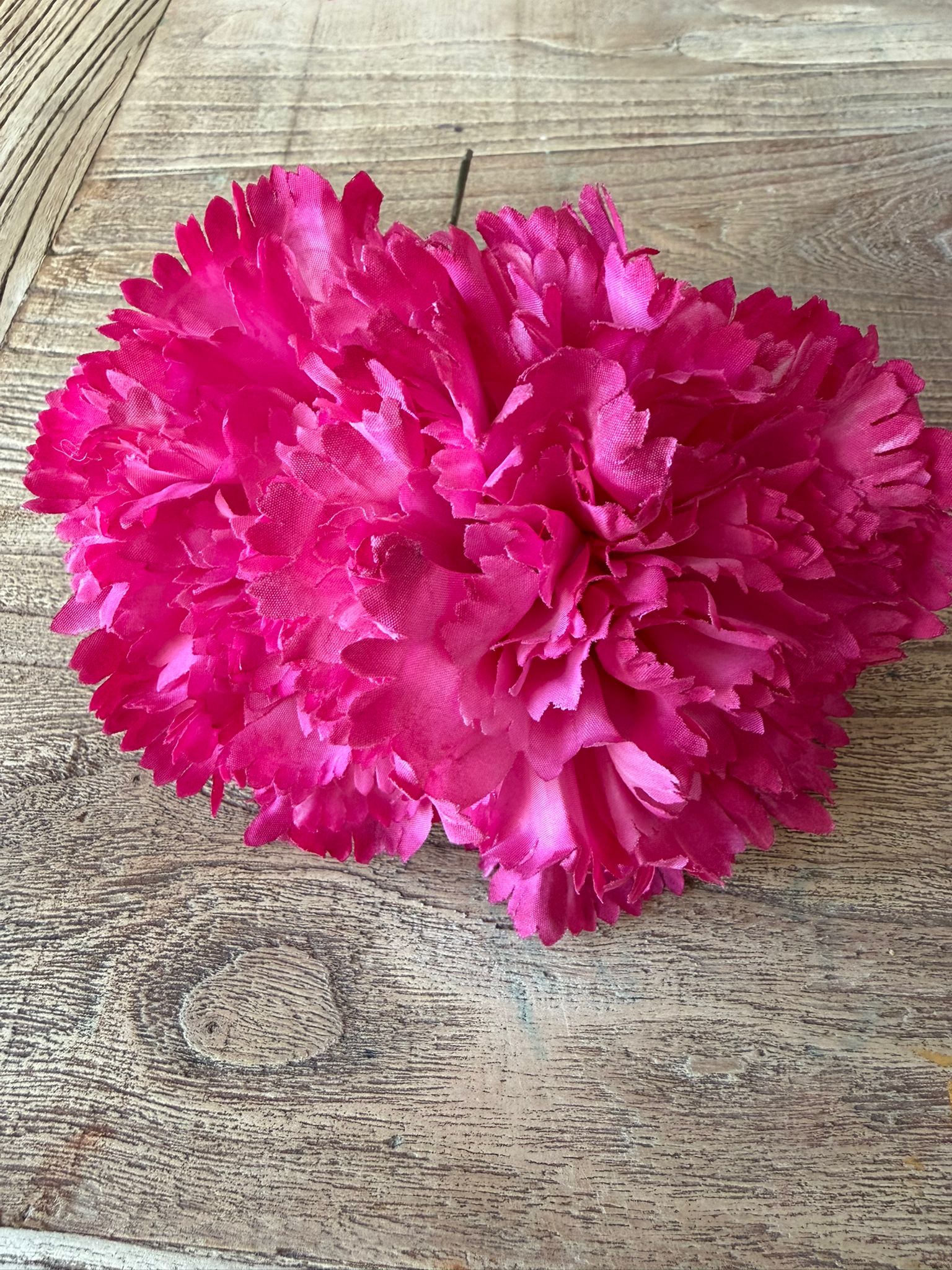 Flor flamenca clavelón buganvilla